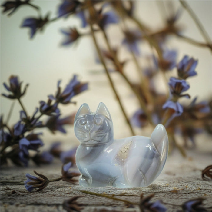 Agate Drusy Cat Figurine Carving - Animal Totem - Spirit Animal FB1186 🐈‍⬛