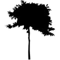 Dogwood Tree Craft Stencil