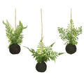 Fern plastic 3ass 3 different styles