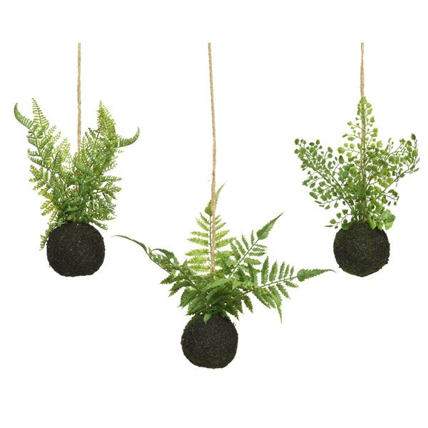 Fern plastic 3ass 3 different styles