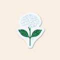 Hydrangea Vinyl Sticker