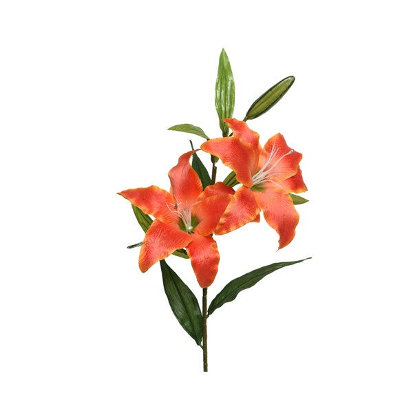 Lilly polyester