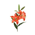 Lilly polyester