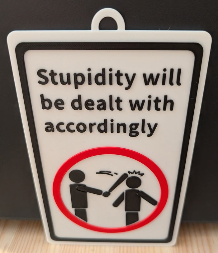 Novelty Sign Decor - Stupidity will be dealt with accordingly - Funny Signage (9 x 5.3-inch)