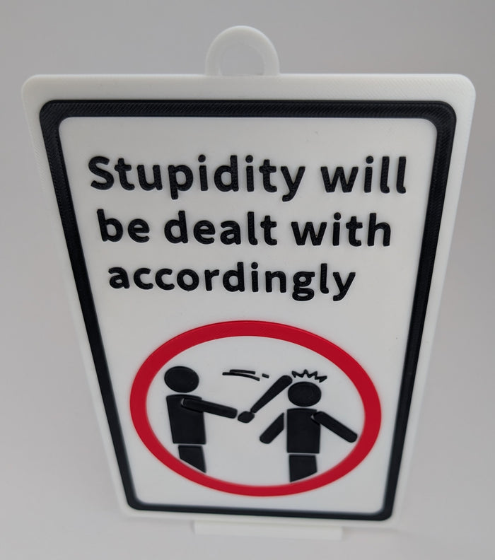 Novelty Sign Decor - Stupidity will be dealt with accordingly - Funny Signage (9 x 5.3-inch)
