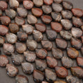 Petrified Wood · Smooth · Teardrop · 10mm, 12mm