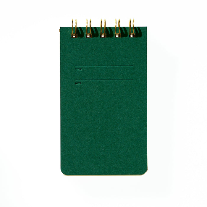 Reporter Notebook - Fern