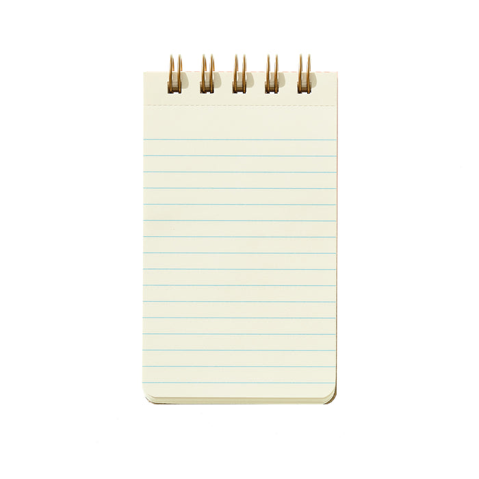 Reporter Notebook - Fern