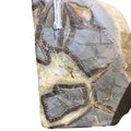 Septarian Nodule Bookends