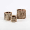 Stump, Set 3, Poplar Wood
