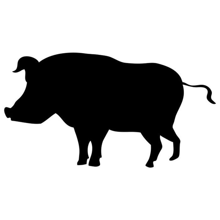Wild Pig Craft Stencil
